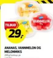 ANANAS, VANNMELON OG MELONMIKS