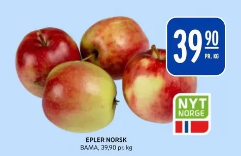 Bama - EPLER NORSK