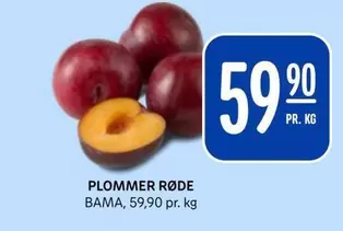 Bama - PLOMMER RØDE