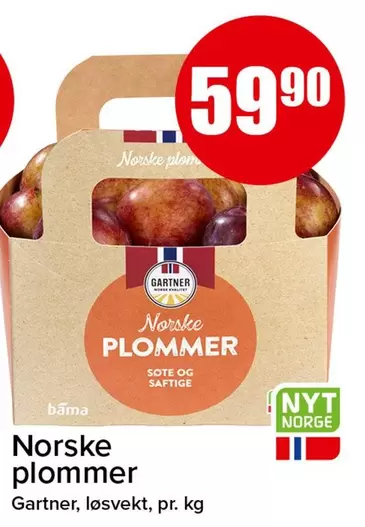Norsk - E Plommer