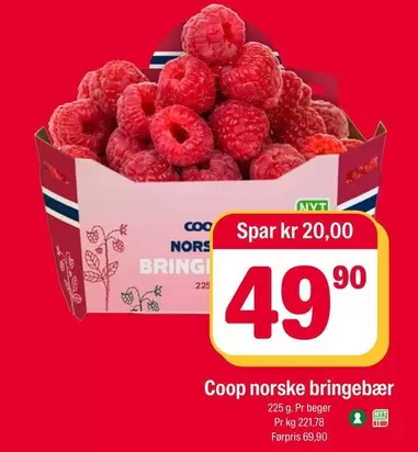 bringebær