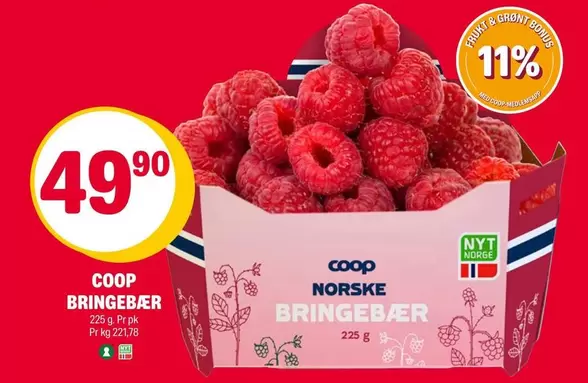 BRINGEBÆR
