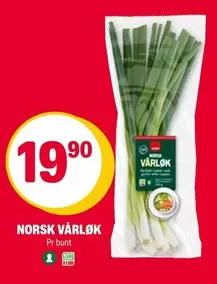 Norsk - NORSK VÅRLØK