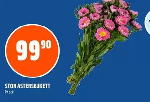 STOR ASTERSBUKETT
