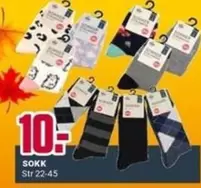 Sokk Str 22-45