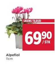 Alpefiol