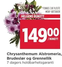 Chrysanthemum Alstromeria, Brudeslør og Grennellik