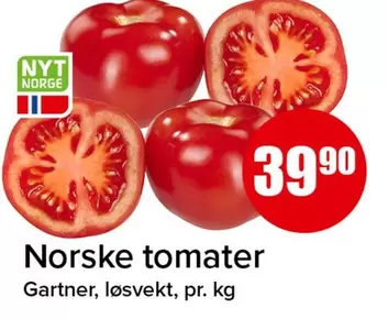 Norske tomater