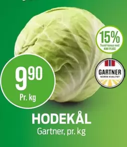 Hodekål