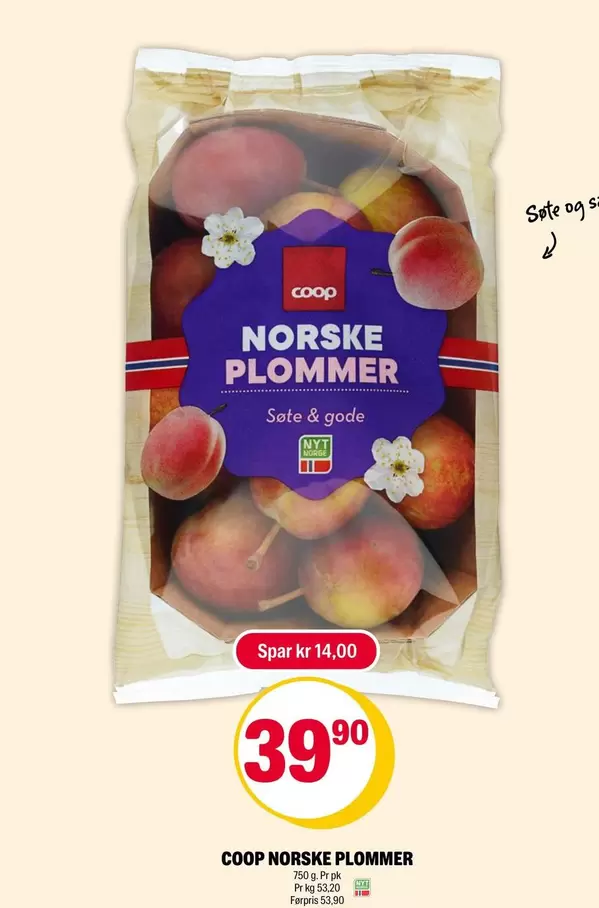 NORSKE PLOMMER