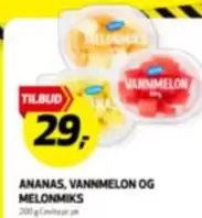 ANANAS, VANNIMELON OG MELONMIKS