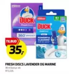 Duck - FRESH DISCS LAVENDER OG MARINE