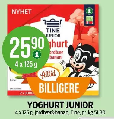 YOGHURT JUNIOR