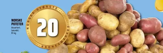 NORSKE POTETER