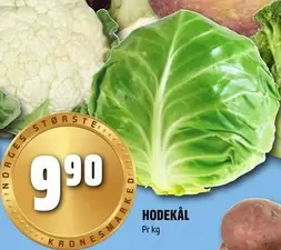 Hodekål
