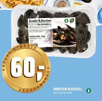 Domstein Blåskjell