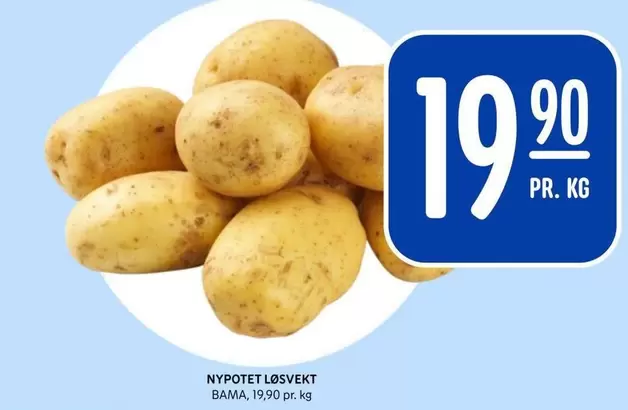 Bama - NYPOTET LØSVEKT