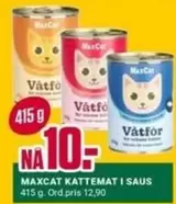 KATTEMAT I SAUS