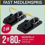 Fast - MUSEFELL