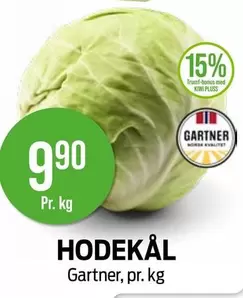 Hodekål