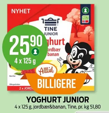 YOGHURT JUNIOR