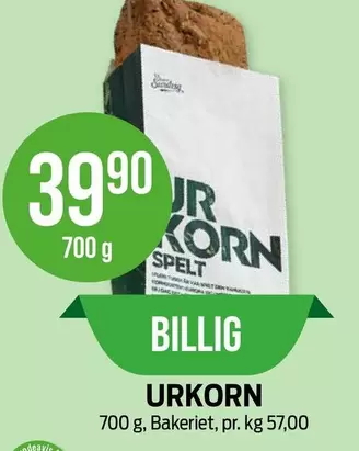 URKORN SPELT