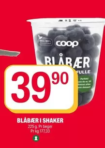 Blåbær i shaker