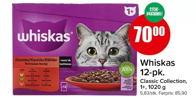 12-pk. Classic Collection