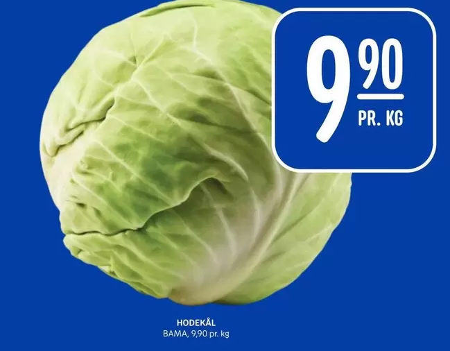 Bama - HODEKÅL