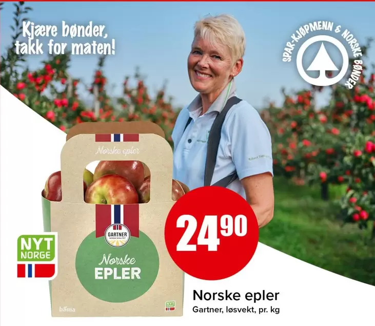 Bama - Norske epler