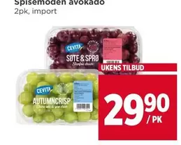 Spisemoden avokado