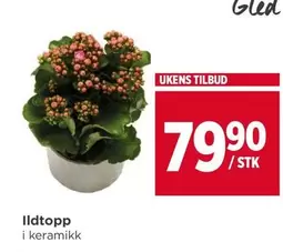 Ildtopp i keramikk
