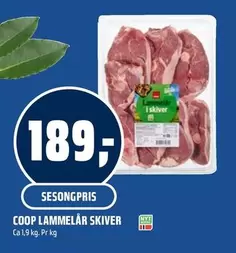 COOP LAMMEL
LAR SKIVER
