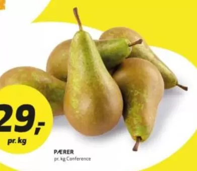 Pærer