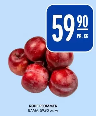 Bama - RØDE PLOMMER