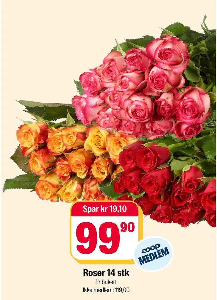 Roser -