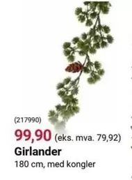 Girländer (217990)