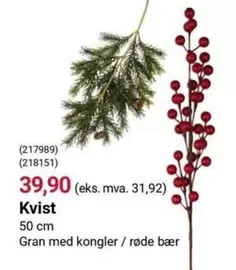 Gran - (217989) (218151) Kvist