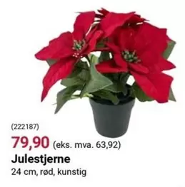 (222187) Julestjerne