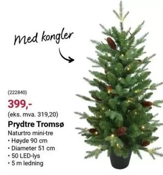 Prydtre Tromsø (222840)