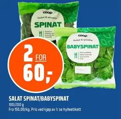 SALAT SPINAT/BABYSPINAT