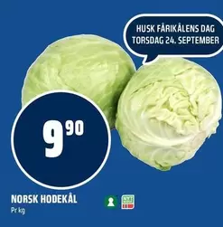 Norsk - NORSK HODEKÅL