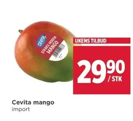 STRAKS MODEN MANGO
