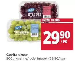 Druer