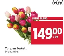 Tulipan bukett