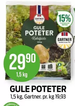 GULE POTETER