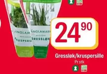 Gressløk/kruspersille