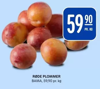 Bama - RØDE PLOMMER