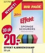KJØKKENSVAMP