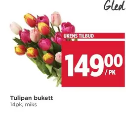 Tulipan bukett